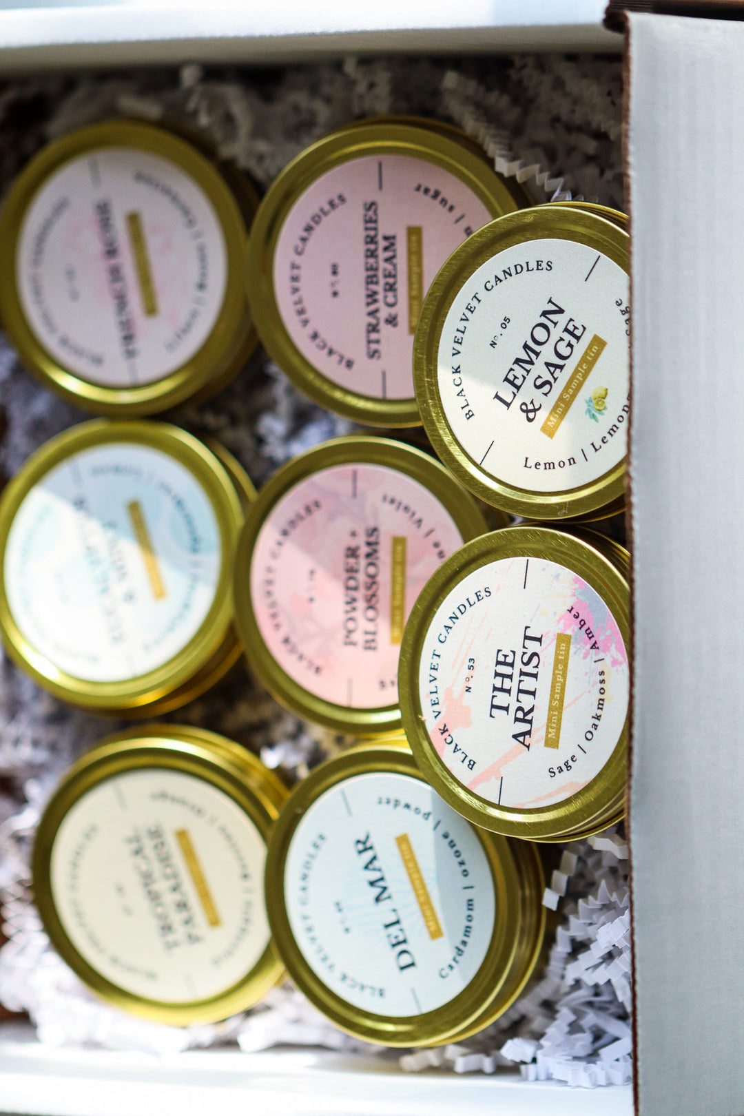 Sample tins